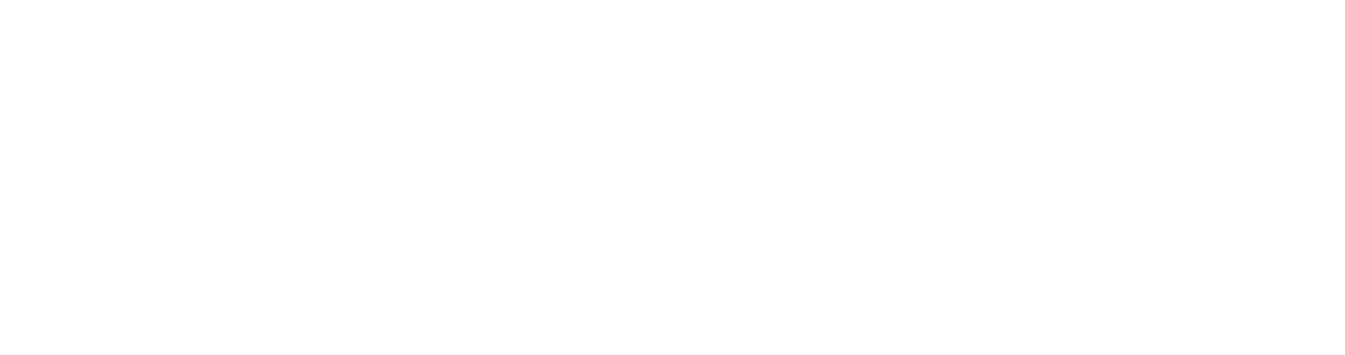 auditormedia